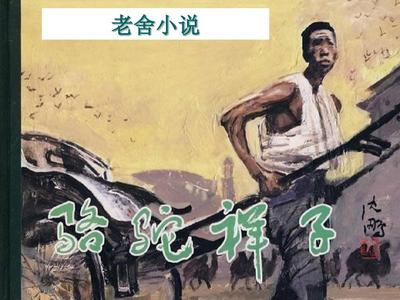 pr18九天狐正能量免费网站
